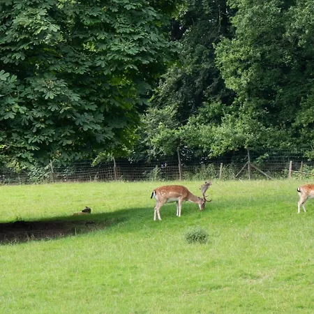Hotel Waldhotel Felsenkeller Am Teutoburger Wald