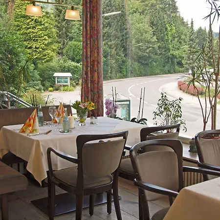 Hotel Waldhotel Felsenkeller Am Teutoburger Wald Bad Iburg