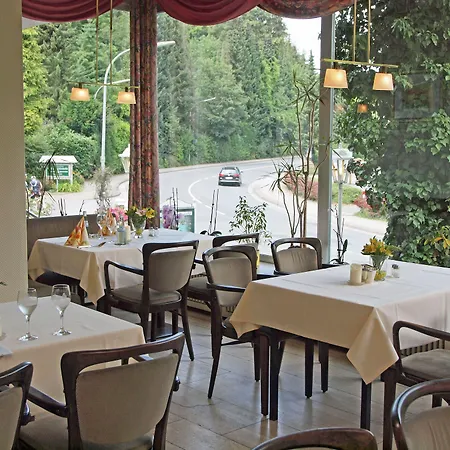 Hotel Waldhotel Felsenkeller Am Teutoburger Wald