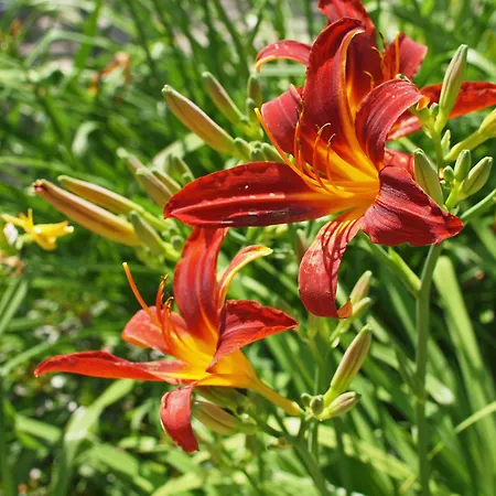 Hotel Waldhotel Felsenkeller