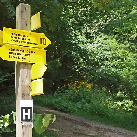 Hotel Waldhotel Felsenkeller Am Teutoburger Wald