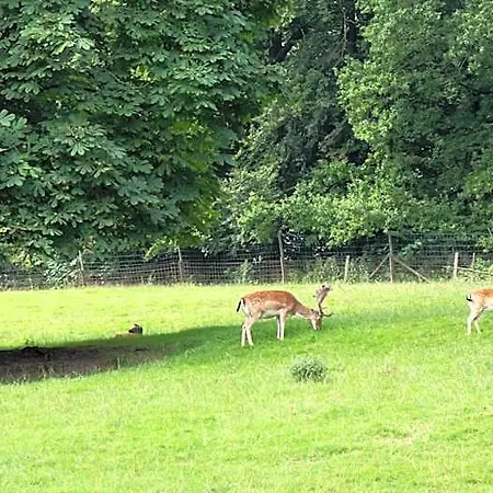 Waldhotel Felsenkeller Am Teutoburger Wald Hotel 2*
