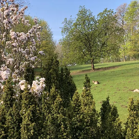 Waldhotel Felsenkeller Am Teutoburger Wald 2* Bad Iburg
